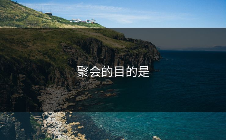 聚会的目的是