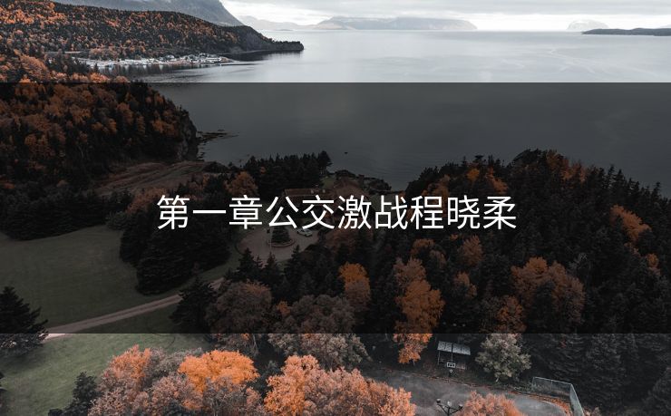 第一章公交激战程晓柔