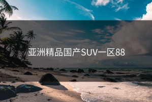 亚洲精品国产SUV一区88