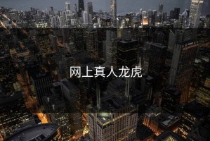 网上真人龙虎