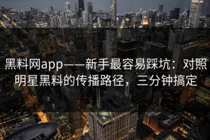 黑料网app——新手最容易踩坑：对照明星黑料的传播路径，三分钟搞定