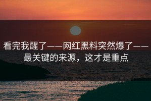 看完我醒了——网红黑料突然爆了——最关键的来源，这才是重点
