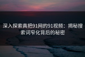 深入探索真把91网的91视频：揭秘搜索词窄化背后的秘密