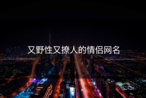 又野性又撩人的情侣网名