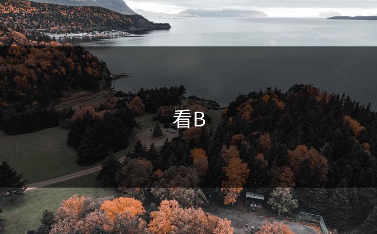看B 看B