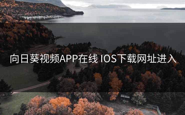 向日葵视频APP在线 IOS下载网址进入