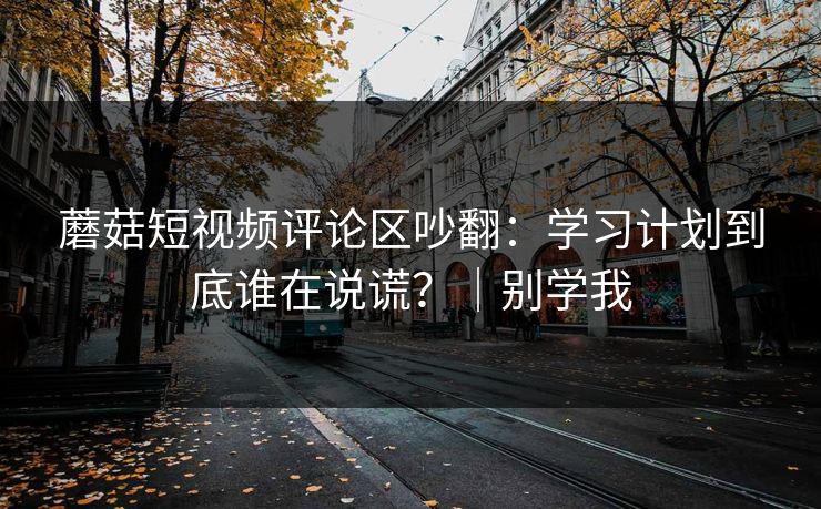 蘑菇短视频评论区吵翻：学习计划到底谁在说谎？｜别学我