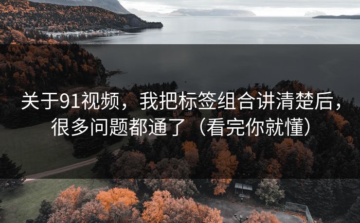 关于91视频，我把标签组合讲清楚后，很多问题都通了（看完你就懂）
